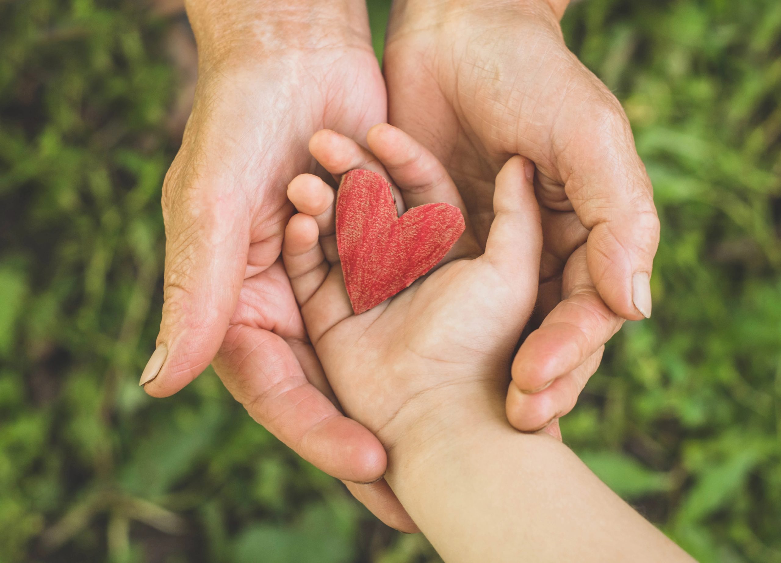 An elderly person's upturned hands holding a child's hand that's holding a red heart.