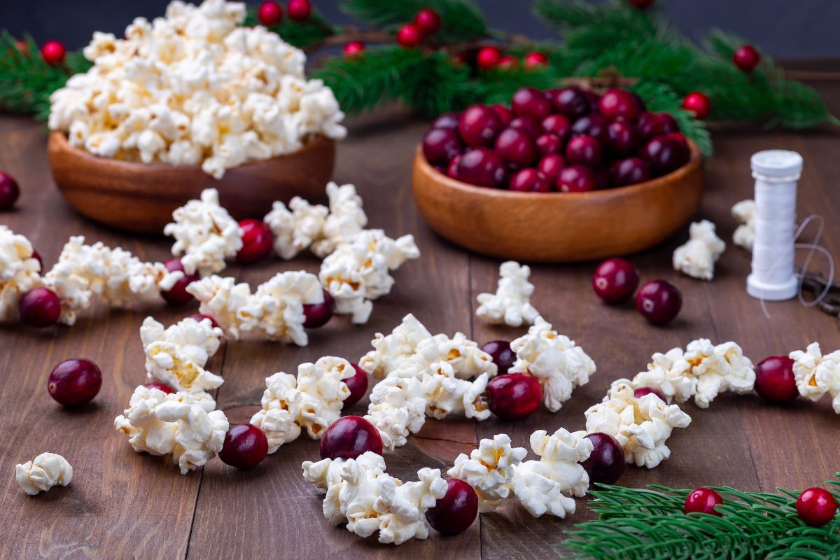 Traditional handcrafted Christmas popcorn garland with red cranberries. Zero waste DIY for Christmas, horizontal