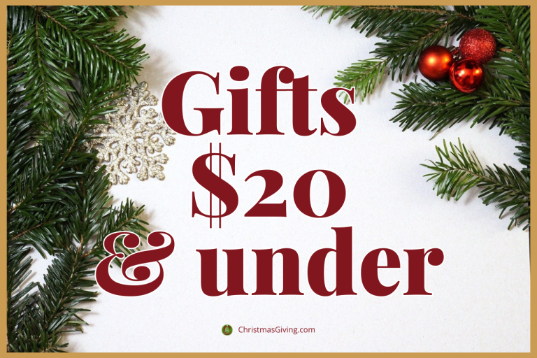 Ideas for gifts that cost $20 or less