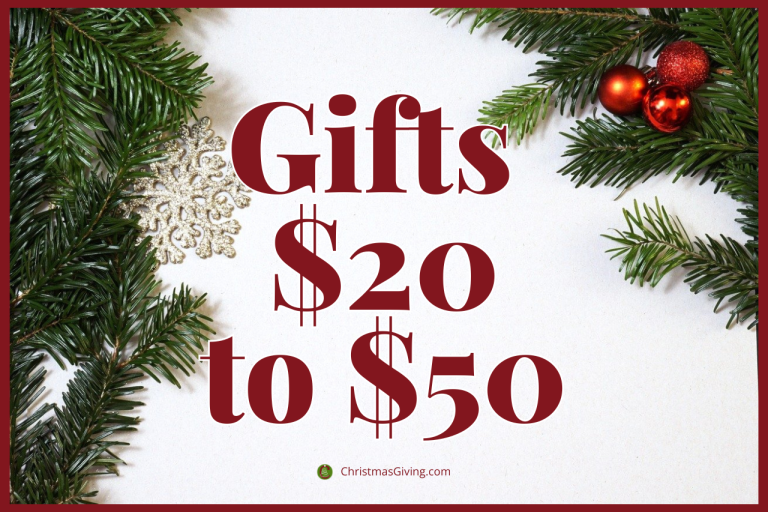 Ideas for gifts that cost $20-50